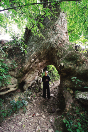 ǧ��Ř���� ���l�����կ�T���D��