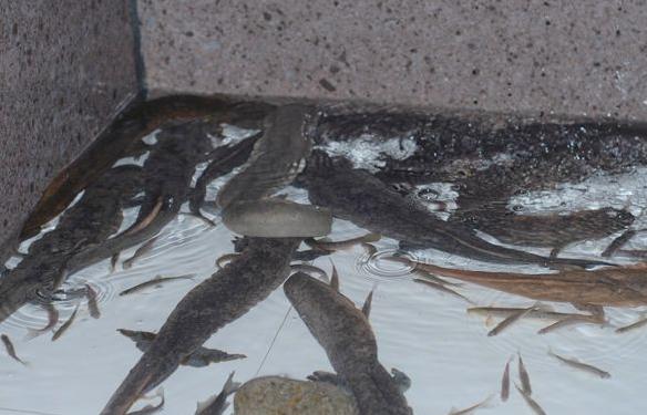 �얷e�O�lչ�����~��ɫˮ�a�Bֳ�I���r����