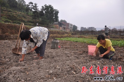 �����h96�fԪ�ķN�r����p�p�����pʧ(�D)