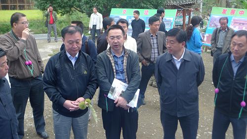 �����Ϲ����M�����_���h���m���{��(�D)