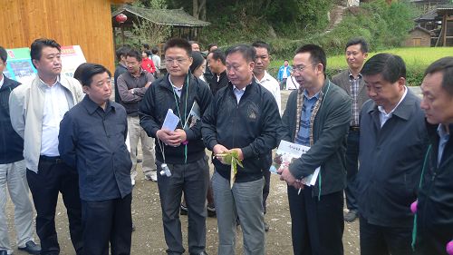 �����Ϲ����M�����_���h���m���{��(�D)