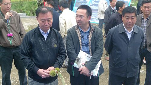 �����Ϲ����M�����_���h���m���{��(�D)