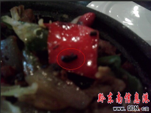 ���ͳԳ��nω ��ҷQ��F���y�Ա���