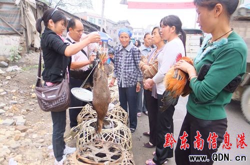 ��������֧������l��Ⱥ���lչ�Bֳ����·