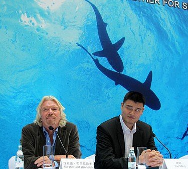 Ҧ��Ͷ������������o(h��)���~���A������������