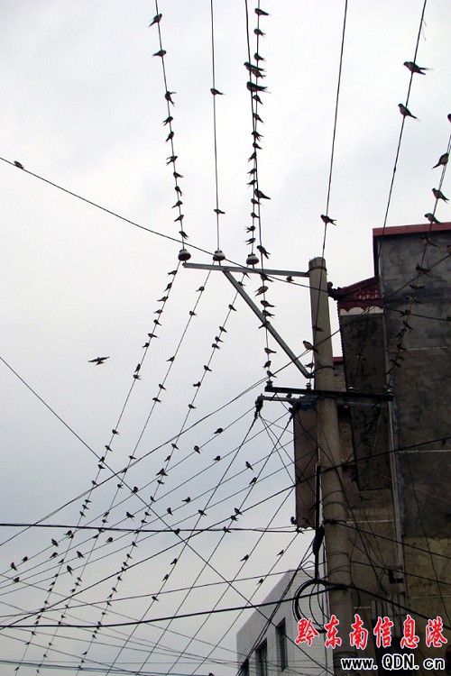 �\�������f�����R�ۼ� �����ϿլF���^