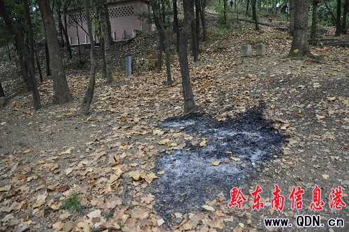 ���w���@�����M�� ��ľ�⿳����֦���D��