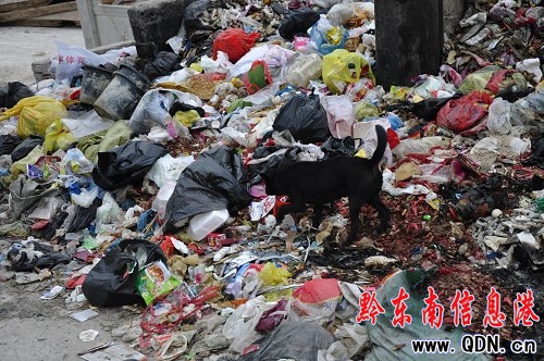 �P��¼��¡��������o������ ����Ѭ��