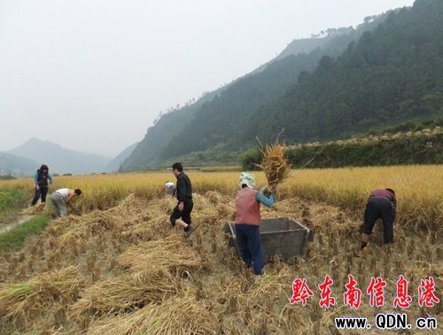 �_���h�T�ɲ�����һ�������գ��D��