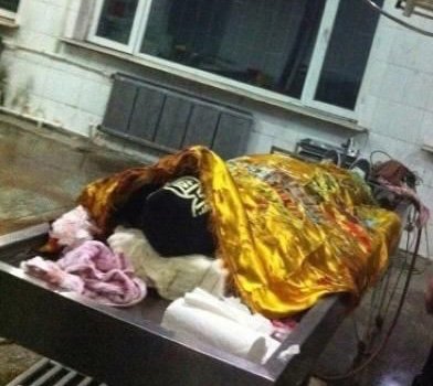 ���ָ߶���ҕ������������ ��ץ�@17���永��