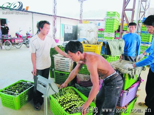 �aֵ��2�f ܇�����3000���߲�ֱ�����(�D)