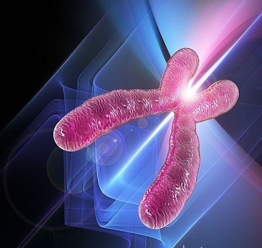 ���w����M�y����R �y��ֻ�軨�M��ǧ��Ԫ