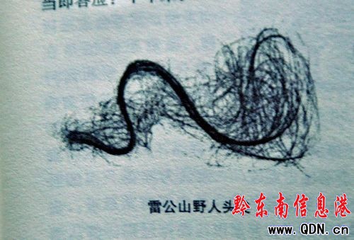 ̽��Ұ��20�� ���ؾ�̽�ء��v��Ұ�������r