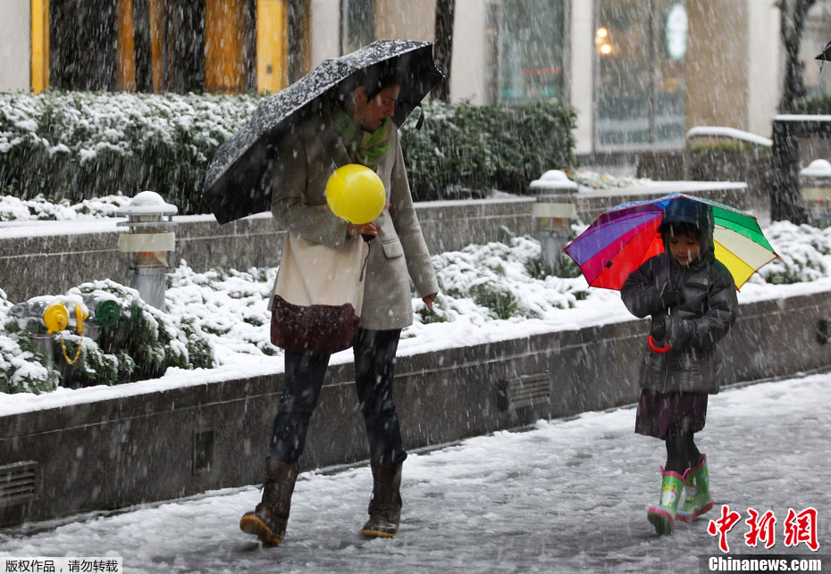 �����|����������Ҋʮ�´�ѩ