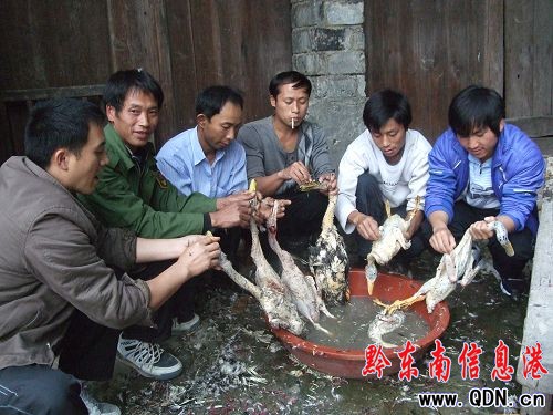 ���f���˚g����ɽ��կ���Ĳع�(ji��)�����D��