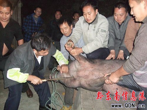 ���f���˚g����ɽ��կ���Ĳع�(ji��)�����D��