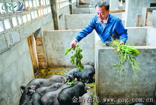 ���߹ܡ�׃���i�ġ������r���B���i���M�D��