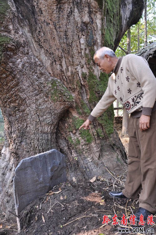 ������ǧ������ѡ�ʯ̥�����M�D��