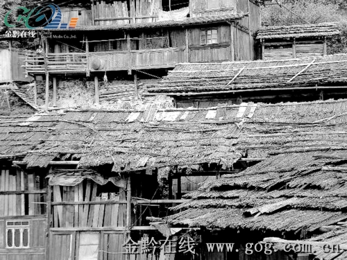 �����Y�����޿� 6000é�ݷ�׃���߷����D��