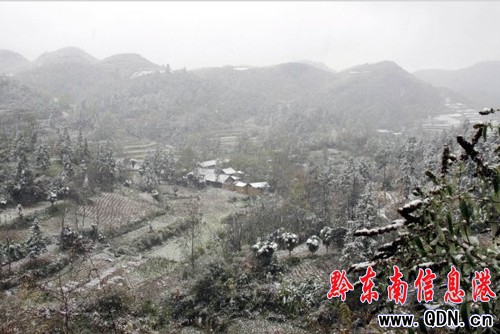 ʩ��ӭ�������׈���ѩ ���󌣼ҷQ��δ���붬��