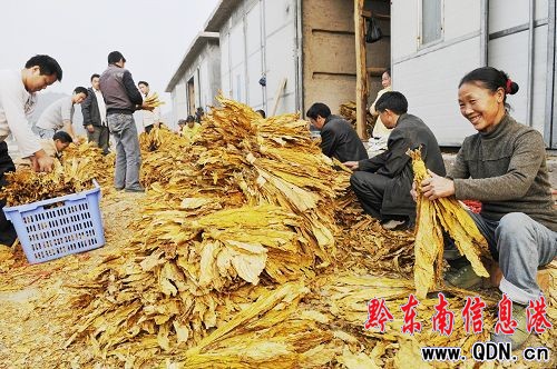 �얿h�`��"���Ҿ���"�_��1.575�f����������