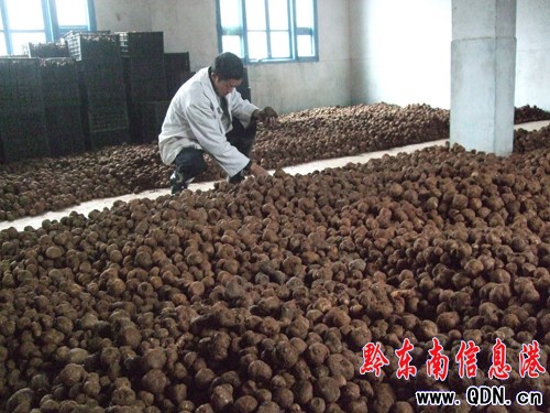 ��ɽ�hħ�������������D��