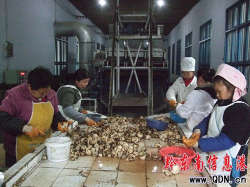 ��ɽ�hħ�������������D��