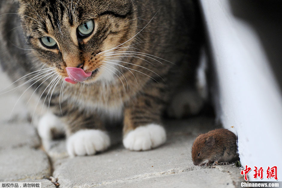 ؈�󉦽ǡ�˽����