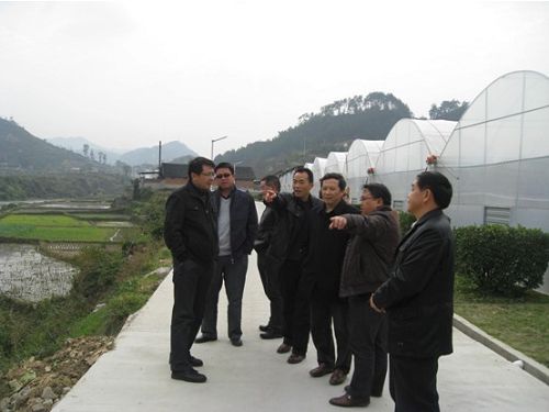 ʡ�Ƽ��d���d�L�K�c��ǭ�|���{(di��o)��