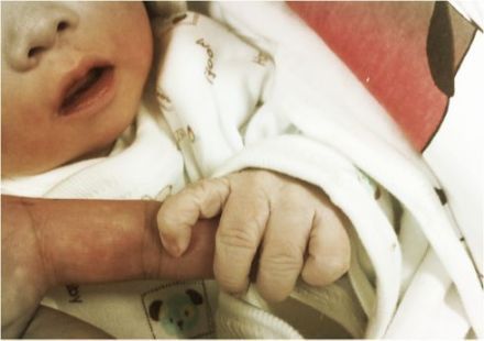 �S�X΢����ϲʥ�Q���� ����������С���ҡ�