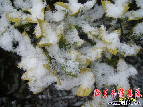 ǭ�|����ӭ��2012���״ν�ѩ���D��