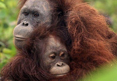 ���ɋ�����Σ�C�P(gu��n)�^�������o����