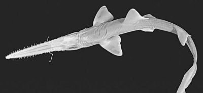 ���ްl�F���~����N �����L���܉�̴��~Ⱥ