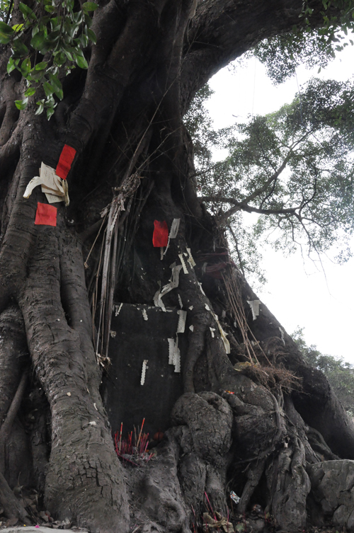 �Ž�������կ �����Ű��������^���D��