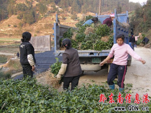 ��ɽ�hȫ��ץ�ò��~���r���̽��O(�D)