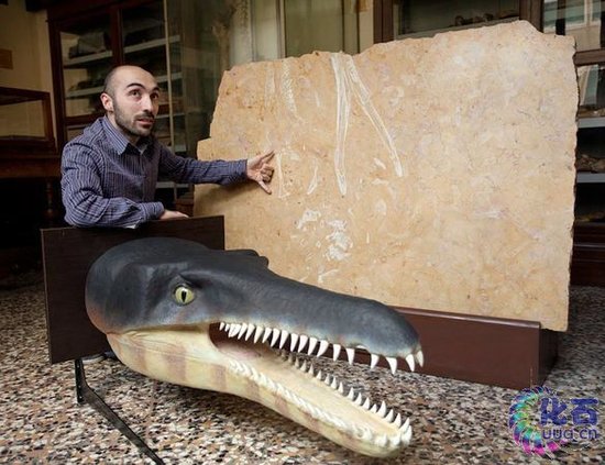 ������N�_ʯ���аl(f��)�F(xi��n)�������{�~��ʯ(�D)