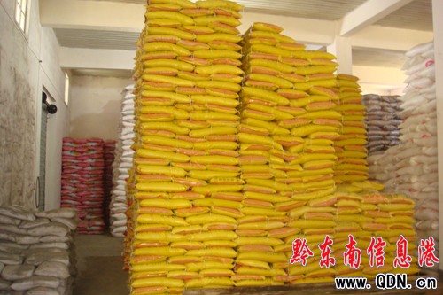 �����h�l�]�r�Y�Ј������� ���r������D��