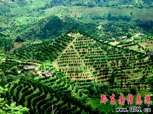 �얿h��˼�ݡ����ĵ��֮a(ch��n)�I(y��)�l(f��)չ�^�죨�D��