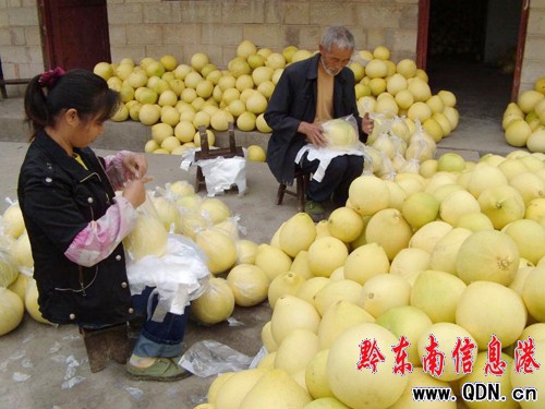 �얿h��˼�ݡ����ĵ��֮a(ch��n)�I(y��)�l(f��)չ�^�죨�D��