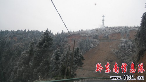 ��ƽ�����͜؃������ 8�l悹�··��Y��