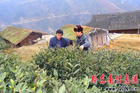 ��ɽ���~�����Ҷ���������{�в��~���a�lչ