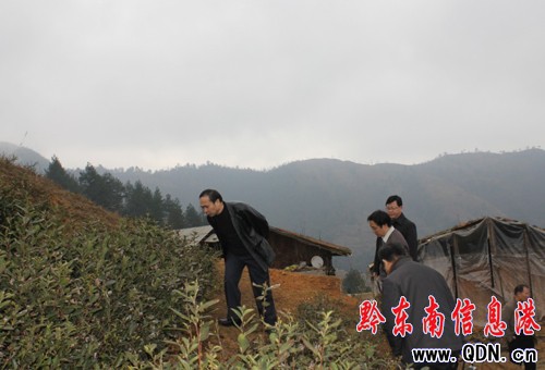 ʡ��ί���΅�܊������ɽ�_չ�z���{�й���(�D)