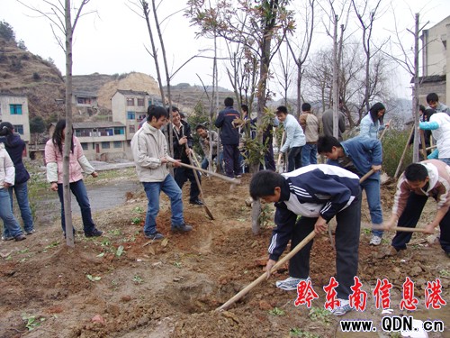 ��ɽ���нM��ֲ���������ж�ĸУ���D��