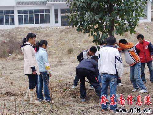 ��ɽ���нM��ֲ���������ж�ĸУ���D��