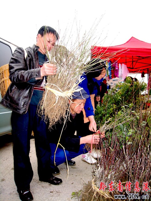 �얿h���硰�[�������D��