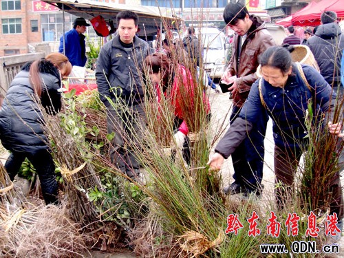 �얿h���硰�[�������D��