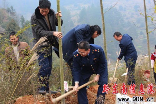 ��ɽ�h�e�O�_չ�x��(w��)ֲ���ӣ��D��