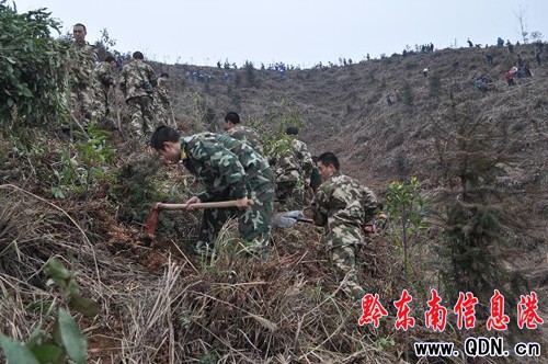 ǭ�|�������e�O�����x��(w��)ֲ�����������ڶ����l(xi��ng)