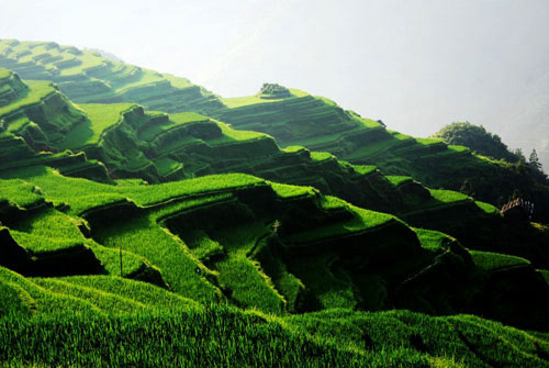 �Ľ��Ӱ����С�S��ռ���й{