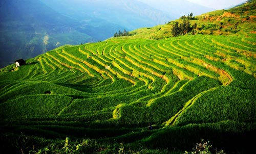 �Ľ��Ӱ����С�S��ռ���й{